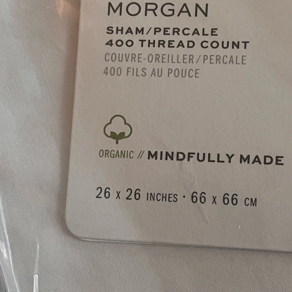 Pottery barn set if 2 Morgan Euro sham organic cotton grey border NWT